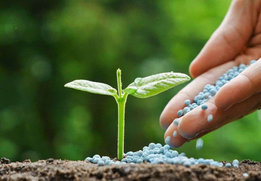 Advanced Fungicides