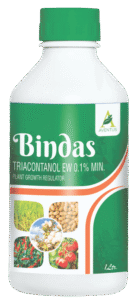 BINDAS