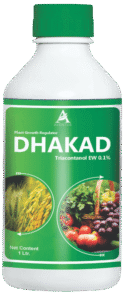 DHAKAD-2