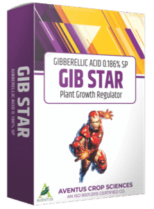 GIB STAR