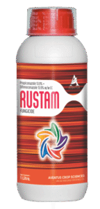 rustam